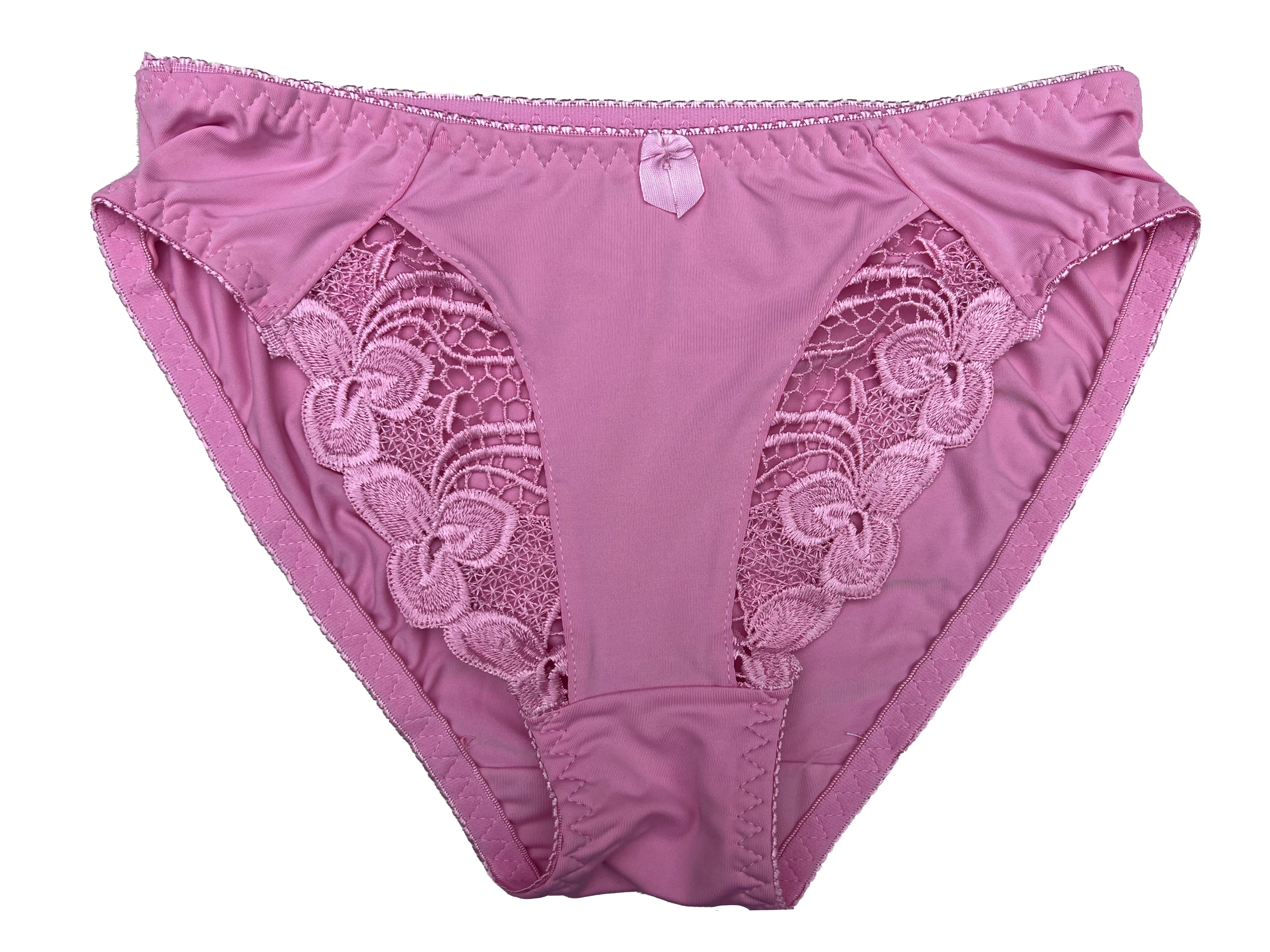 Lady Nylon Lace Panty #3106