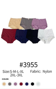 Lady Nylon Brief #3955