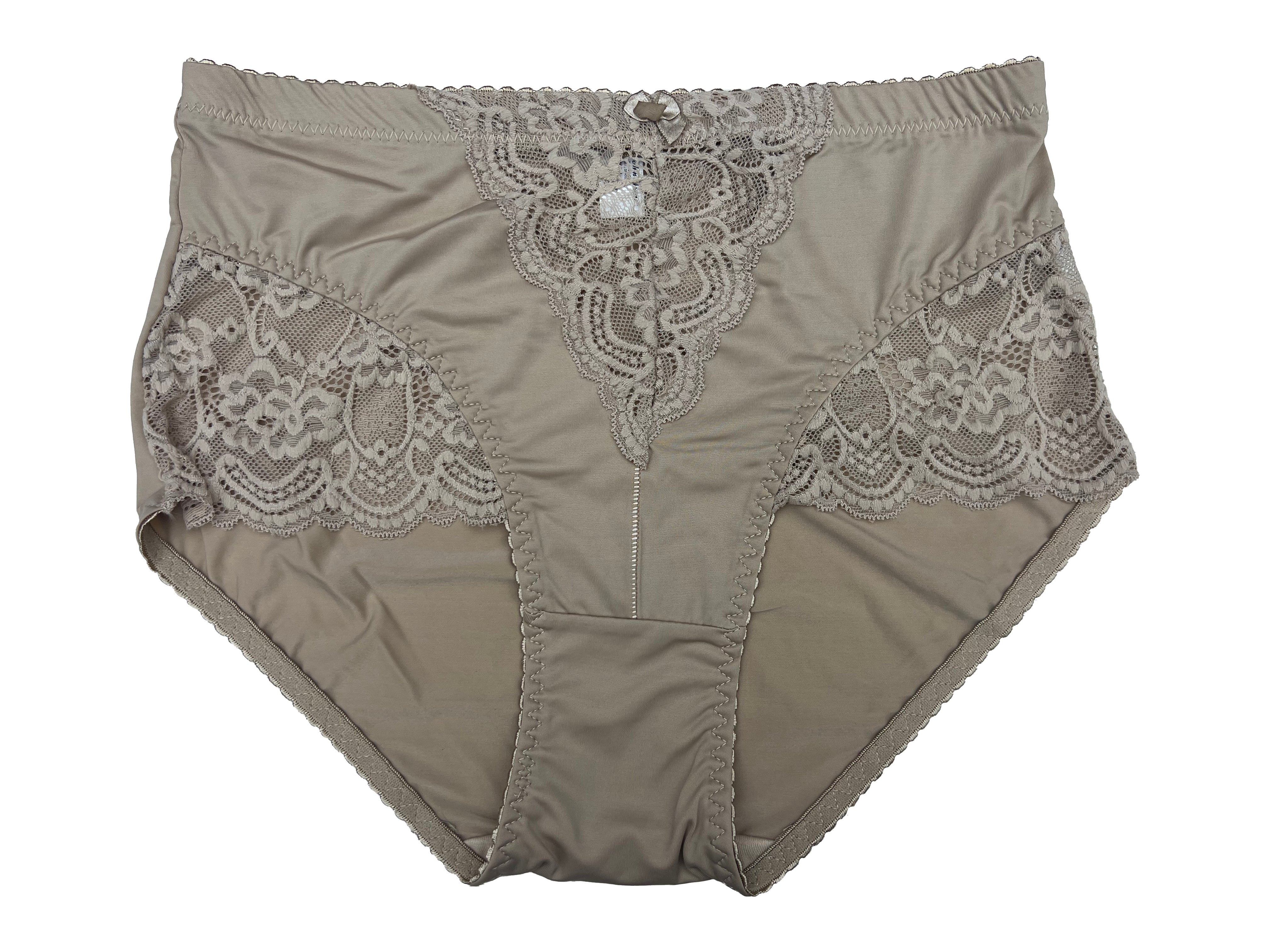 Lady Nylon Lace Brief #5257D