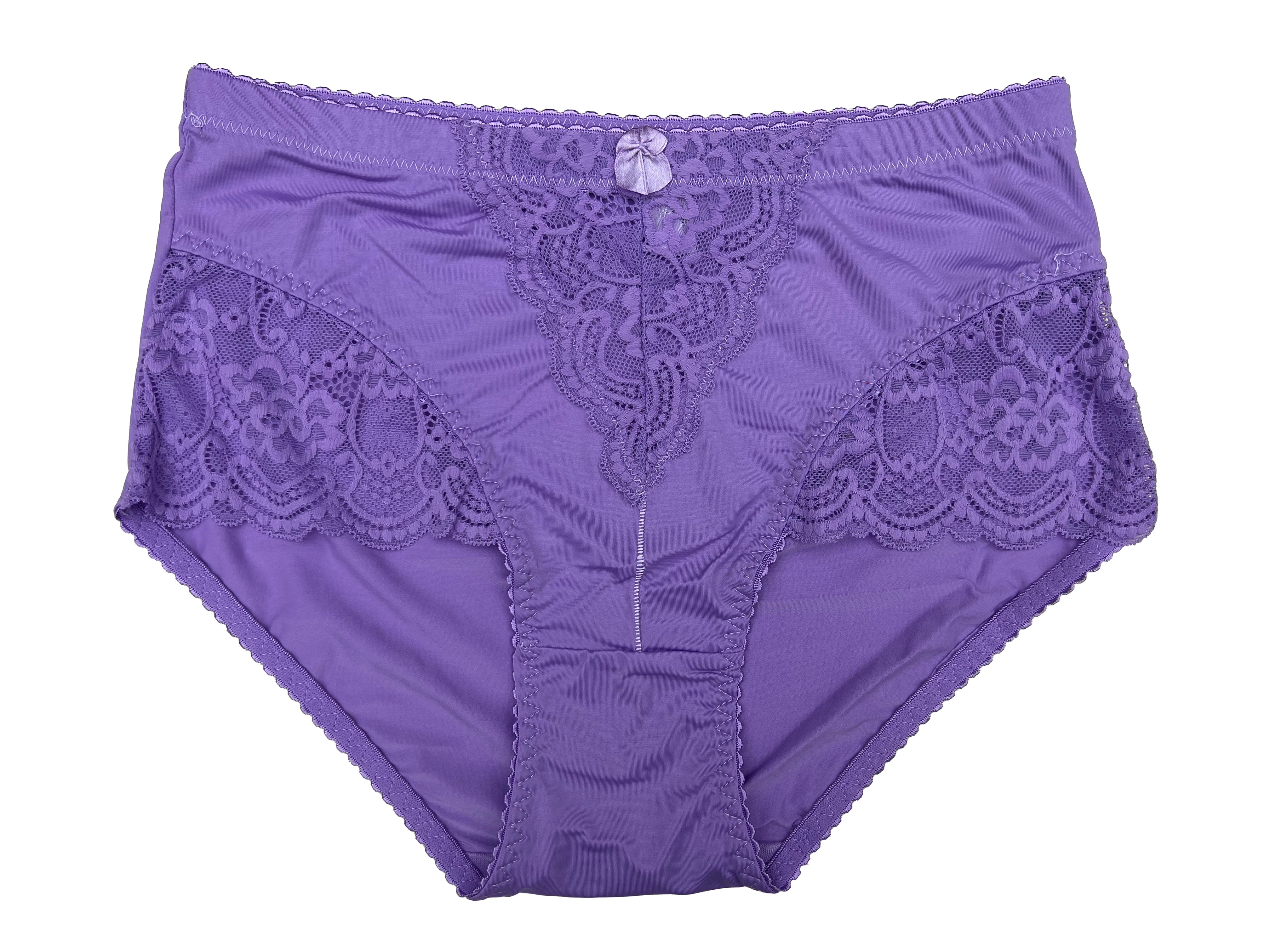 Lady Nylon Lace Brief #5257D