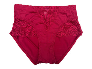 Lady Nylon Lace Brief #5257D